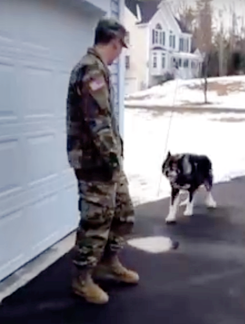 ‘Wolf-Dog’ Barks At Stranger And Didn’t Recognize His Military Dad He’s Been Missing ‘Wolf-Dog’ Barks At Stranger And Didn’t Recognize His Military Dad He’s Been Missing