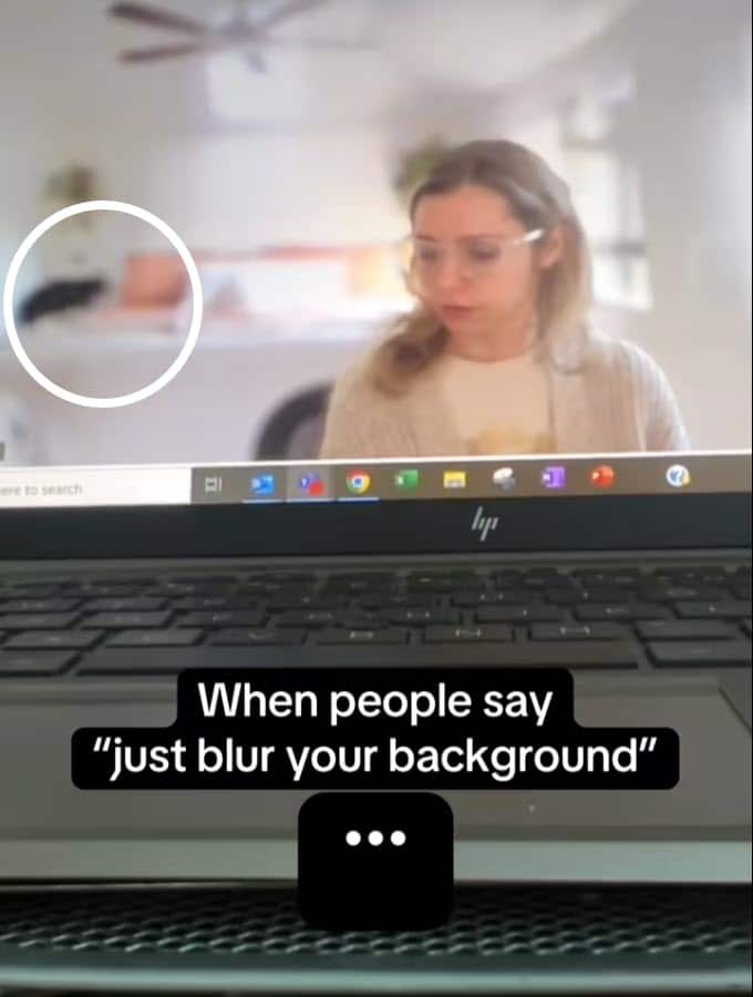 Woman Tries to Blur Background on Zoom, But Her Cats Have Other Plans Woman Tries to Blur Background on Zoom, But Her Cats Have Other Plans