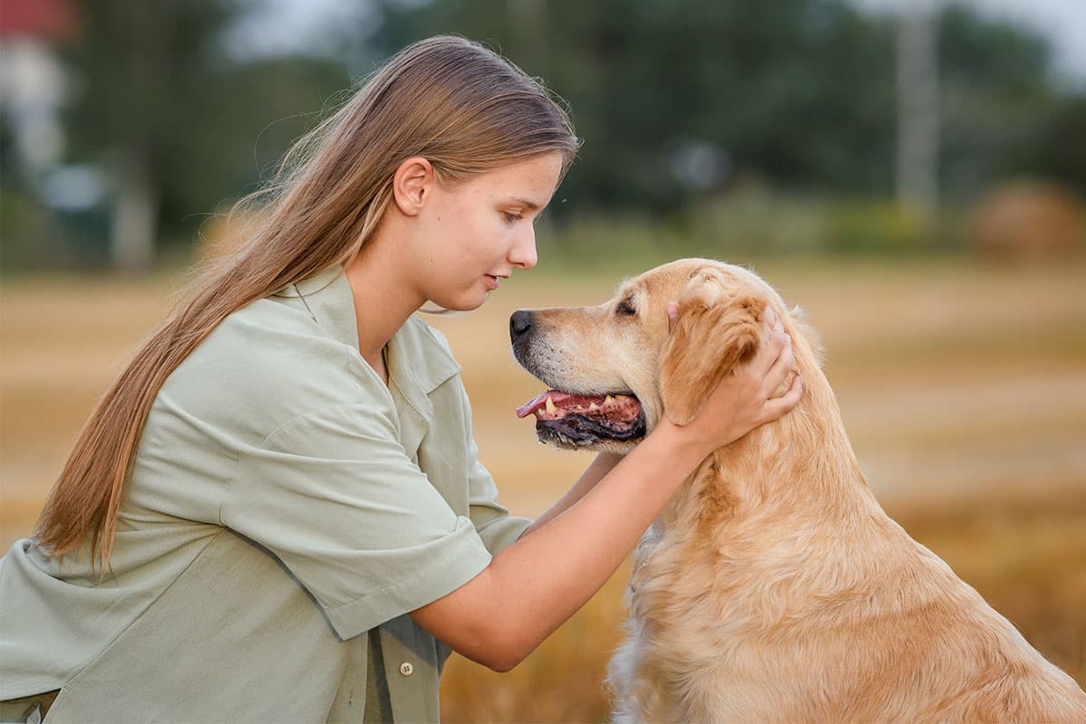 11 Faithful Dog Breeds That Stick With You Through Everything