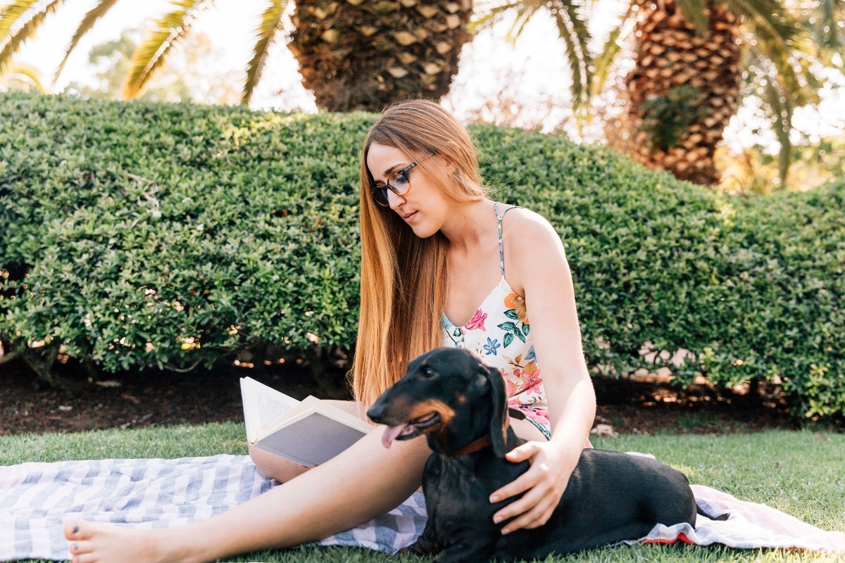 11 Loyal Dog Breeds That Follow You Room To Room
