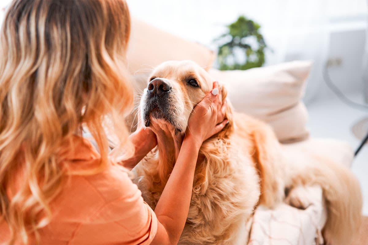 13 Soulful Dog Breeds Known For Their Beautiful Eyes