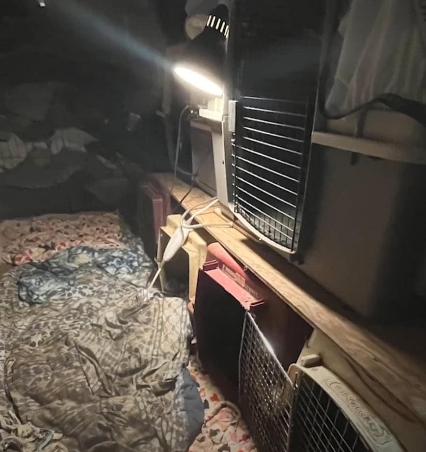 49 Animals Rescued In Puppy Mill Case, Woman Arrested For Neglect 49 Animals Rescued In Puppy Mill Case, Woman Arrested For Neglect