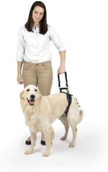 7 Best Dog Lift Harnesses 7 Best Dog Lift Harnesses
