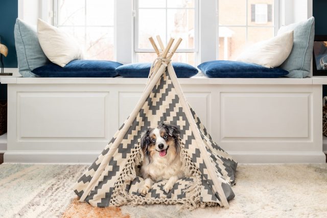 9 Best Dog Tent Beds For Cozy Napping Spots