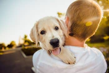Amazon’s Cuddliest Dog Products to Celebrate Hug Your Hound Day Amazon’s Cuddliest Dog Products to Celebrate Hug Your Hound Day