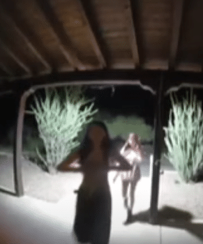 Camera Captures Two Suspects Moments Before Guinea Pigs Disappear