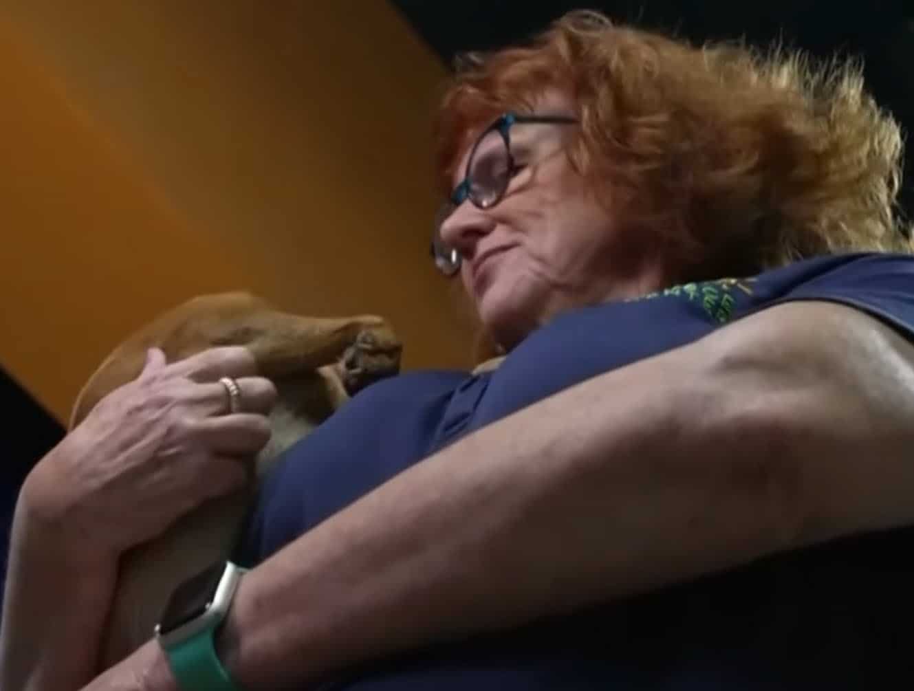 Dog Was Dumped Like Trash with His Little Legs Tied, Then Someone Finally Appeared Dog Was Dumped Like Trash with His Little Legs Tied, Then Someone Finally Appeared