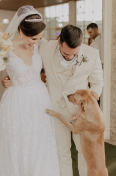 Injured Stray Slept Outside Church Waiting For Newlyweds To Invite Him In