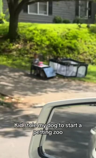 Kid’s Brilliant  Petting Zoo Featuring Family Dog Steals Hearts Online