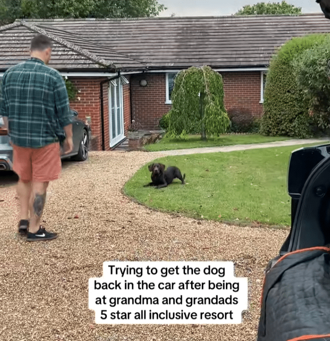 Labrador Refuses to Leave Grandparents’ 5-Star House After Being Spoiled