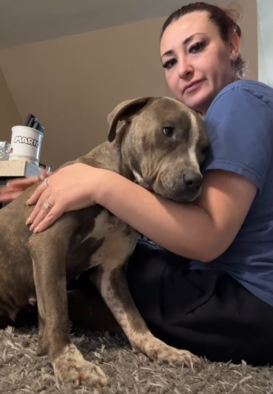 Rescue Dog Scarlet Finds Love and Safety After Life of Neglect