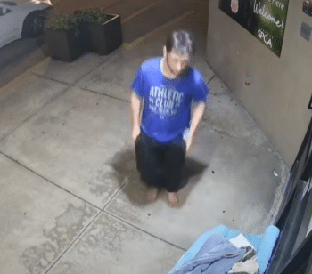 Suspect Identified with Surveillance of Theft of Shelter Donations for Puppies
