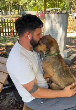 Sweet Dog Returned to Shelter, Still Hopes for Family Who Won’t Give Up