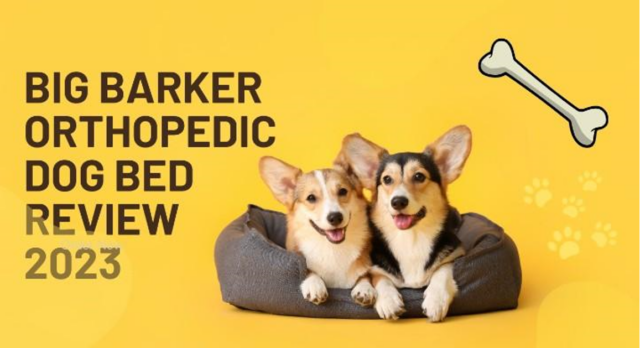 Ultimate Resting Spot For Your Dog: Big Barker Orthopedic Dog Bed Review 2025 Ultimate Resting Spot For Your Dog: Big Barker Orthopedic Dog Bed Review 2025