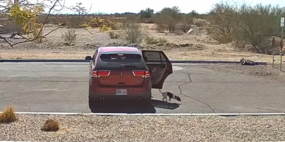 Woman Caught on Video Abandoning Dog with Cruel ‘Bye-Bye’ Faces Charges Woman Caught on Video Abandoning Dog with Cruel ‘Bye-Bye’ Faces Charges