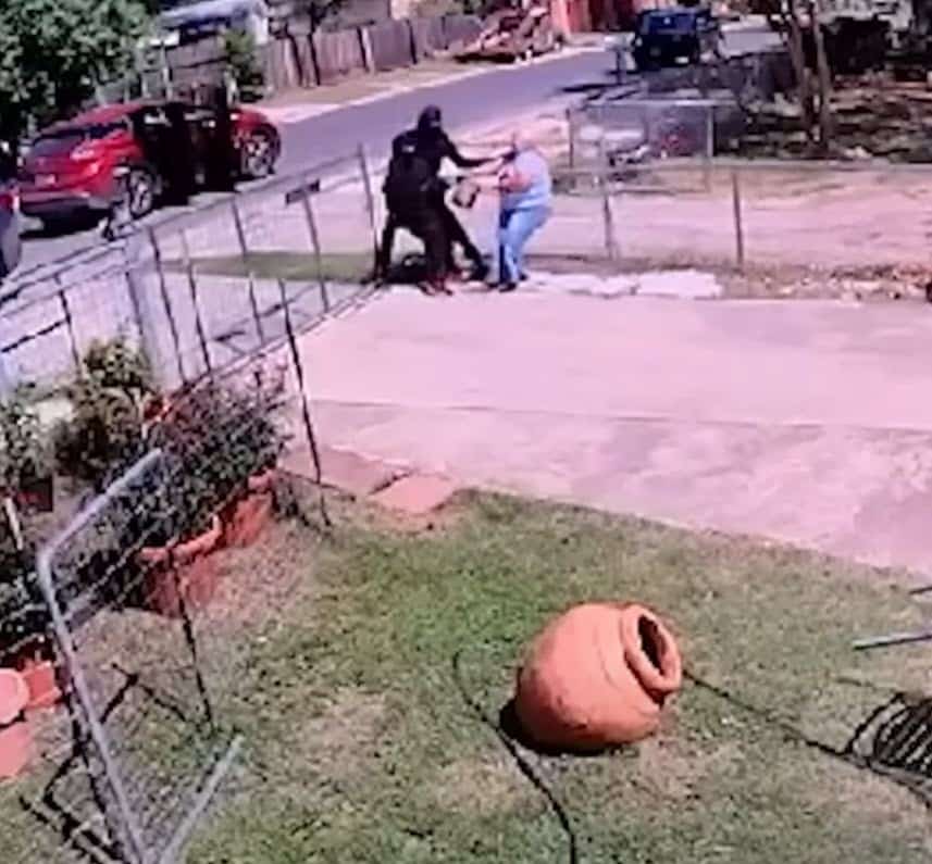 Woman Dragged to Ground by Thieves, Then the Family Dog Charges Into Action