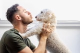 11 Dog Breeds That Thrive On Constant Affection