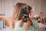 11 Funny Things Only Dog Moms Understand
