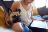 11 Snuggly Dog Breeds Who Choose Laps Over Dog Beds