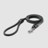 12 Best Leashes for Big Dogs