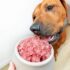 6 Best Supplements or Toppers to Increase a Dog’s Appetite