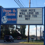 13 Funny Signs That Show Vets Definitely Have A Sense Of Humor, Check-Out These Signs