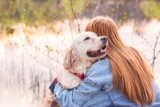 13 Snuggly Dog Breeds That Feel Like a Hug