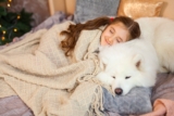 13 Snuggly Dog Breeds That Love Falling Asleep On You