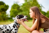 15 Dog Behaviors That Actually Show Affection
