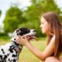 9 Big-Hearted Dog Breeds That Love Large