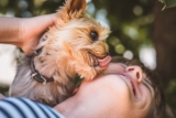 15 Loving Dog Breeds That Make The Best Emotional Support Dogs