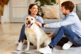 15 Top Dog Breeds for First-Time Dog Parents