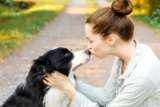 15 Unexpected Reasons Dogs Lick Your Face