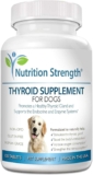 5 Best Thyroid Supplements for Dogs