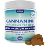 6 Best Supplements or Toppers to Increase a Dog’s Appetite