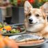 5 High-Collagen Foods That Help Regenerate Cartilage in Dogs