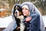 9 Snuggle Bug Dog Breeds for Cozy Days