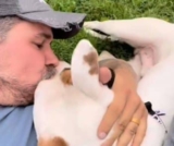 After Adoption, a Call Revealed the Dog’s Long-Lost Family Was Still Waiting