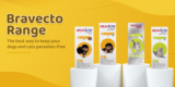 Bravecto Range: The best way to keep your dogs and cats parasites-free