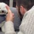 After Waiting So Long, This Dog Finally Sees His Mom Again