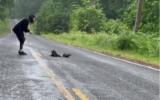 Couple Sees Something Weird on the Road, Then It Hits Them