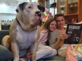 Cuddly Family Pup Is So Ginormous People Don’t Believe He’s Real 