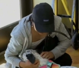 Deaf Woman Drives Cross-Country to Rescue Two Deaf Puppies