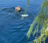 Dog Fetches Ball From Pond But Brings Back Something Unexpected