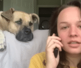Dog Gets Thrilled as Owner Uses His ‘Favorite Words’ During Pretend Phone Call