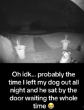 Dog Patiently Waits Outside All Night, Owner Realizes Mistake via Doorbell Cam