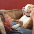 15 Secrets Dog Trainers Wish Every Dog Owner Knew