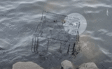 Dog’s Barks Broke Calm Of The River When Banged Up Cage Floats Over