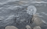 Dog’s Barks Broke Calm Of The River When Banged Up Cage Floats Over