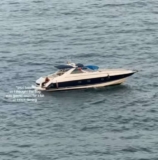 Dog’s Dramatic Swim Back to Land in Ibiza Captivates Millions Online